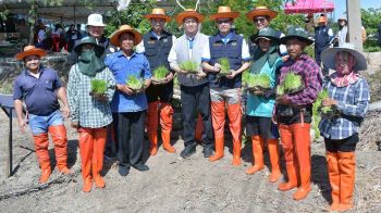 กรมชลฯkick off หนุน‘นาเปียกสลับแห้ง’สู่พื้นที่ชลประทาน แปลงต้นแบบ‘สุขเต็มนา RIo10@ทุ่งบางกุ่ม’