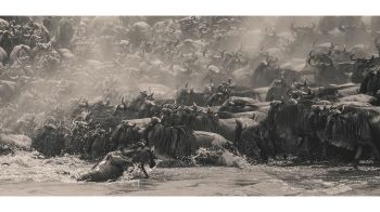 เอปสันเผยผลประกวดภาพถ่าย Epson International Pano Awards อาเซียนคว้าหลายรางวัล