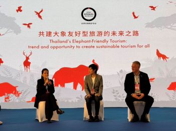 องค์กรพิทักษ์สัตว์แห่งโลกระบุไทยพร้อมขึ้นแท่นศูนย์กลาง Elephant-Friendly Tourism