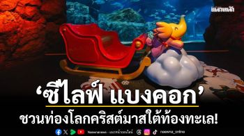 เที่ยวส่งท้ายปีด้วยความมหัศจรรย์ \'ซีไลฟ์ แบงคอก\' ชวนท่องโลกคริสต์มาสใต้ท้องทะเล!