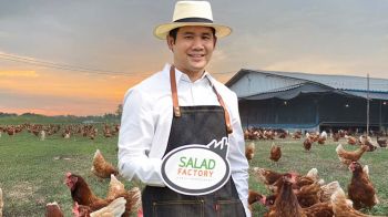 ‘สลัดแฟคทอรี่’เดินหน้ายกระดับสวัสดิภาพสัตว์ ประกาศนโยบายใช้‘ไข่ไก่’แบบไม่ขังกรง