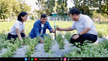 เปิดกล่อง‘ข้าวกะเพราซีพีแรม’ ใน 7-Eleven” จากงานวิจัยสายพันธุ์ ‘กะเพราป่า’  สู่การพัฒนาความมั่นคง-ความยั่งยืนทางอาหาร ยกระดับคุณภาพชีวิตเกษตรกรไทย