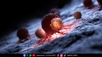 รู้จัก ‘NK Cells Therapy’ เพชฌฆาตจัดการมะเร็ง