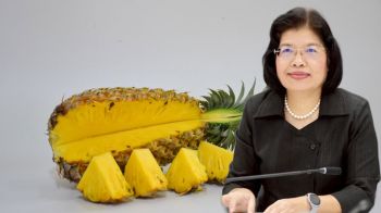 สับปะรดสวี  ขึ้นแท่น GI ชุมพร ลำดับที่ 7 สร้างรายได้กว่า 27 ล้านต่อปี