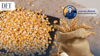 ‘พาณิชย์’ออก4กฎเหล็ก นำเข้าข้าวโพดเลี้ยงสัตว์-ข้าวสาลี