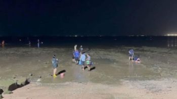 นักท่องเที่ยวแห่หาหอยหาดนาเกลือ  หลังน้ำทะเลลดลง บรรยากาศคึกคัก