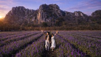 เปิดแล้ว‘ทุ่งสิริสมัย’ชวนสัมผัส‘ทุ่งดอกบลูซัลเวีย’กลางหุบเขา‘แก่งคอย สระบุรี’