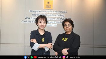 เลือกกิน เปลี่ยนโลกได้ เปิดผลจัดอันดับ ‘ไข่ไก่ปลอดกรง’ ในซูเปอร์มาร์เก็ตไทย