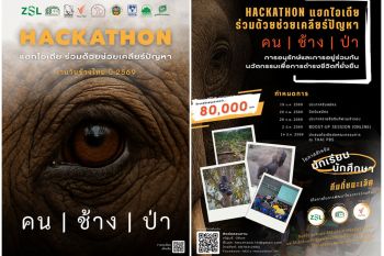 คนรุ่นใหม่ลุกขึ้น ‘แฮกไอเดีย’ แก้ปัญหาคน–ช้าง–ป่า พลิกความขัดแย้งสู่การอยู่ร่วมกันอย่างยั่งยืน