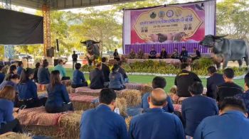 ผู้ว่า จ.อุทัย ฯ แถลงจัดเทศกาลควายไทย ตอกย้ำ“ควาย”สัตว์เศรษฐกิจหลักจังหวัด