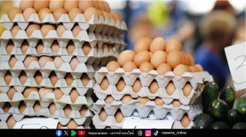 ผลการประเมินระบบไข่ไก่ปลอดกรงของเอเชียปี 2025 ไทยก้าวขึ้นเป็นผู้นำระดับภูมิภาค