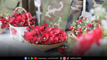 สัปดาห์ดอกป๊อปปี้บานวันทหารผ่านศึก 2569 รายได้ช่วยเหลือครอบครัวทหารผ่านศึก