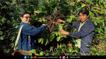 ‘มีวนา ปลูกมาจนโต’ ชวนคนไทยจิบกาแฟออร์แกนิก ปลูกป่ารักษ์โลก ลด PM 2.5