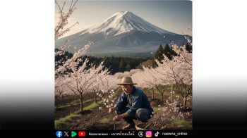 บทความพิเศษ : ‘นิทานแห่งความดี’ ภูเขาซากุระ