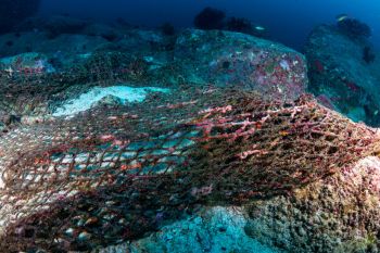 สกู๊ปพิเศษ : จากอวนประมงสู่..‘เส้นฟิลาเมนต์’นวัตกรรมจุฬาฯ รีไซเคิลขยะจากทะเล แก้ปัญหาสิ่งแวดล้อม