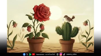 บทความพิเศษ : ‘นิทานแห่งความดี’ กุหลาบกับกระบองเพชร