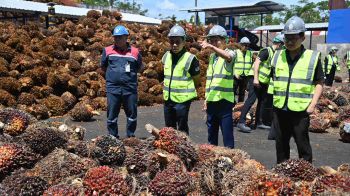 DIT ลงพื้นที่สุราษฎร์ธานี ติดตามสถานการณ์ปาล์มน้ำมัน กำชับโรงสกัด-ลานเทเตรียมพร้อมรับมือช่วงผลผลิตออกมาก