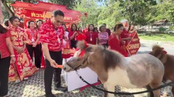 สวนสัตว์สงขลาชวนจิบชาเสริมเฮงดูสัตว์มงคล