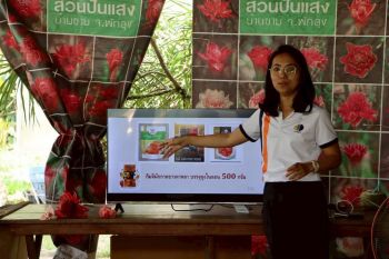 วว.เพิ่มมูลค่าทางการตลาดพืชท้องถิ่นพัทลุง ขับเคลื่อนโมเดลเศรษฐกิจ BCG ให้ยั่งยืน