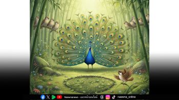 บทความพิเศษ : ‘นิทานแห่งความดี’ นกยูงกับนกกระจิบ