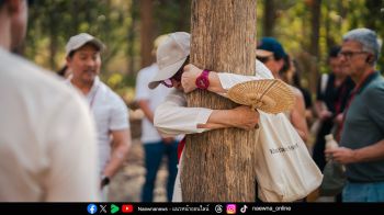 เขาใหญ่ อาร์ต ฟอเรสต์ เปิดตัวนิทรรศการ ‘Pulsus Vitae’ ชวนคุณโอบกอดแนบหูฟังเสียง ‘ชีพจร’ ต้นไม้ผ่านศิลปะจัดวาง