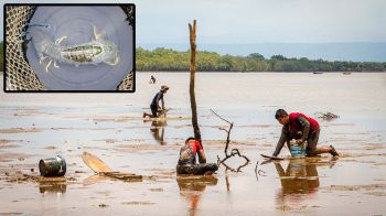 หอการค้าตราดรุกหนัก! ลุยปั้นงาน ‘วันกั้งโลก’ เป็นจุดขายรับงานวิ่ง