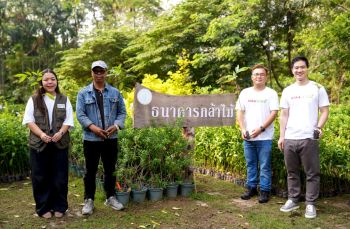 เพิ่มพื้นที่สีเขียว