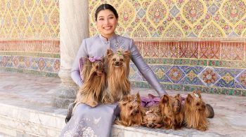 กลับมาอีกครั้ง!! งาน Princess Honour Cup 2026 งานประกวดพันธุ์สุนัขชิงถ้วยพระราชทาน ‘เจ้าฟ้าสิริวัณณวรีฯ’