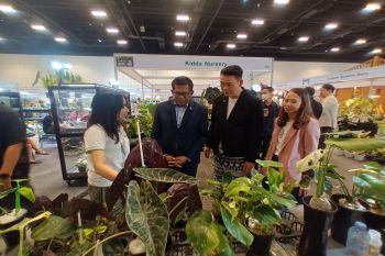 เบอร์ 1 ‘Exotic Plant’ Soft Power ไทยมูลค่าสูง ยกให้เป็น ‘Supercar แห่งวงการพรรณไม้