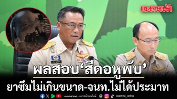 กรมอุทยานฯ เปิดผลสอบ สีดอหูพับ ล้มระหว่างเคลื่อนย้าย ยาซึมไม่เกินขนาด-ไม่ใช่ความประมาท จนท.
