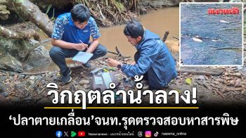 วิกฤตน้ำลาง! ‘ปลาพลวงหิน’ ตายเกลื่อน-นอภ.ย้ำชาวบ้านห้ามนำไปกินเด็ดขาด
