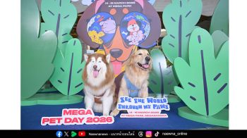เมกาบางนาสร้างคอมมูนิตี้คนรักสัตว์เลี้ยง    ชวนเปิดโลกผ่านมุมมองของเพื่อนซี้สี่ขา