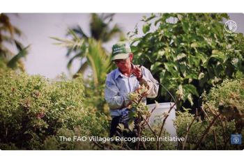 ไทยผงาดเวทีโลก! FAO ชู 15 ชุมชน สสน. ยกย่องความสำเร็จในการสร้างระบบเกษตร - อาหารที่ยั่งยืน