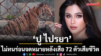 ‘ปู ไปรยา’ไม่ทนร่อนจดหมายผลักดันปราบปรามแหล่งท่องเที่ยวสัตว์ป่าหลังเสือ 72 ตัวเสียชีวิต