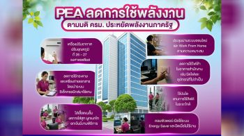 PEA ขานรับมติ ครม. ปฏิบัติตามมาตรการลดการใช้พลังงานในหน่วยงานภาครัฐ