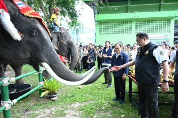 ​‘สุชาติ’ เป็นประธานจัดงานทำบุญ ‘วันช้างไทย’69’ อุทิศให้คน-ช้าง​ เสียชีวิต​