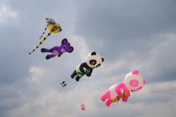 ชวนเที่ยวงาน ‘เทศกาลว่าว’ ชมว่าวปลากระเบน LED ยักษ์ แลนด์มาร์คท่องเที่ยวใหม่ปทุมฯ