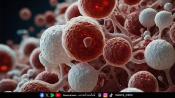 \'ภูมิคุ้มกันบำบัด’ อีกทางเลือกใหม่ในการรักษามะเร็ง