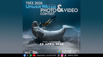 สายดำน้ำห้ามพลาด! TDEX จับมือ Digitalay ประกวดภาพถ่ายและวิดีโอใต้น้ำ