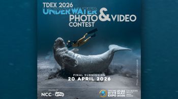 สายดำน้ำห้ามพลาด! TDEX จับมือ Digitalay ชวนส่งผลงานเข้าประกวดภาพถ่ายและวิดีโอใต้น้ำ ชิงรางวัลวมกว่า 2 แสนบาท