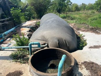 สศก. เปิดผลศึกษา การจัดการมูลโคนมด้วยบ่อก๊าซชีวภาพ  พบ ฟาร์มขนาดใหญ่และขนาดกลางมีความคุ้มค่าสูง แนะจัดลำดับการสนับสนุนตามศักยภาพฟาร์ม