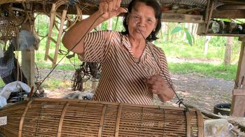 สกู๊ปพิเศษ : คุณยายนิภา อายุ 70 ปี สืบสานการทำเครื่องจักสานจากไม่ไผ่ ปราชญ์ชาวบ้านในตำบล รายได้เกือบ 20,000 บาทต่อเดือน