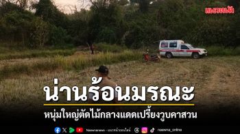 น่านร้อนระอุ ชาย 53 ตัดไม้กลางแดด เป็นลมดับคาสวน คาดฮีทสโตรก