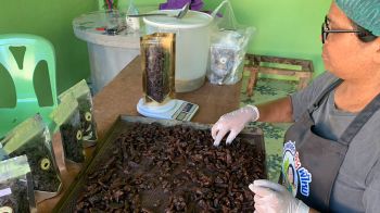 อดีตพนง.อบต.ผันเป็นเกษตรกร แปรรูปตะลิงปลิงกิโลฯละ500บ.