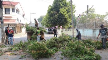 เทศบาลน่านลงพื้นที่ ตัดแต่งกิ่งไม้ รับพายุ ลดเสี่ยงอันตรายปชช.