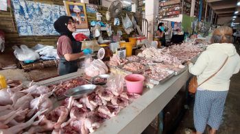 สินค้าพาเหรดขึ้นราคา‘หมู-ไก่’ขยับ แม่ค้าครวญต้นทุนพุ่ง ปุ๋ยภาคอีสานขาดตลาด พุ่งพรวดกระสอบละ300บ.