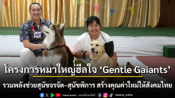 โครงการหมาใหญ่ฮีลใจ ‘Gentle Gaiants’ รวมพลังช่วยสุนัขจรจัด–สุนัขพิการ สร้างคุณค่าใหม่ให้สังคมไทย