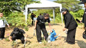 บางแคไม่แคร์ฝุ่น! ลุยปลูก 500 ต้น เติมเขียวทั้งชุมชน