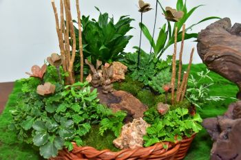 เสกกล่องพัสดุเป็นงานศิลป์ มทร.ธัญบุรี โชว์ ‘ปุ๋ยปั้นรูปสัตว์’ ประดับพานรับน้ำรักษ์โลกรับสงกรานต์