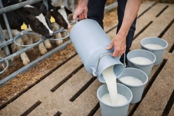 จับตา! โควตานม’69 เมื่อผลประชาพิจารณ์-หลักเกณฑ์ใหม่ยังคลุมเครือ